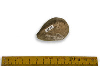 F 03792
<br/>
<br/>
<em></em>